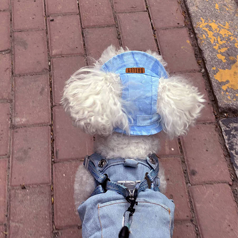 Personalized Leather Patch Pet Sun Hat with Ear Holes | BKPet68