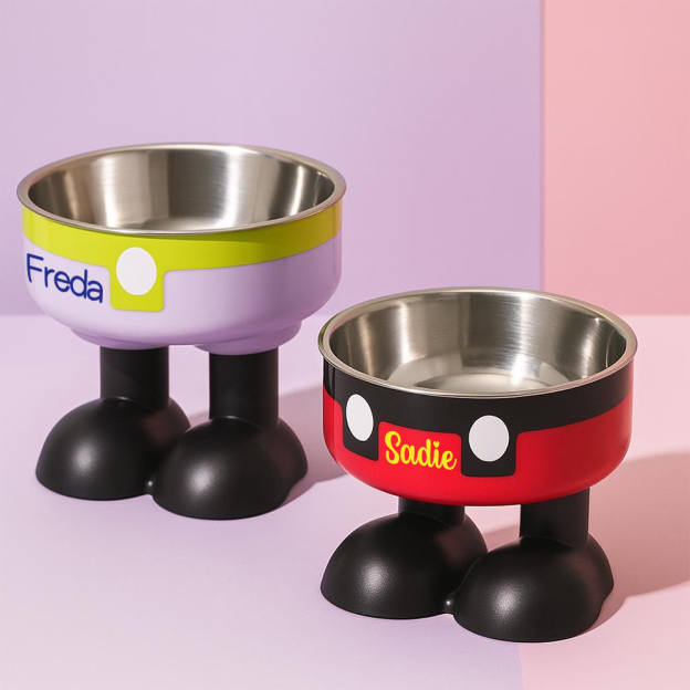 Personalized Stainless Steel Neck Protection Pet Food Bowl | BKPet220