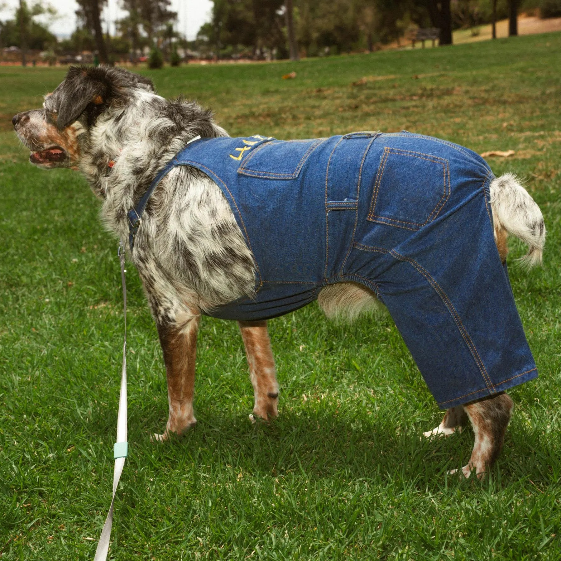 Personalized Leather Patch Pets Classic Overall Dungarees | MNCloth11601