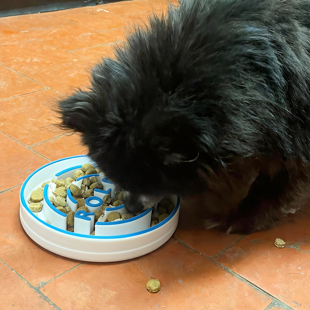 Personalized 3D Printed Dog Slow Feeder Bowl | BKPet354