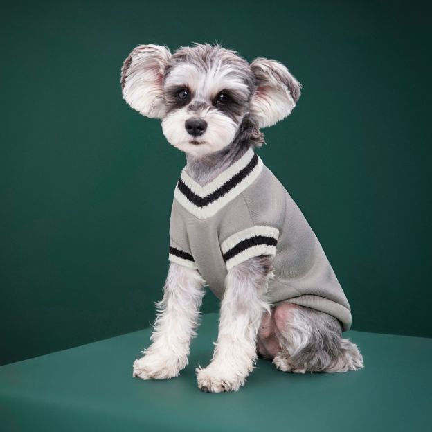 Personalized Leather Patch Pets Sweater | BKPet98