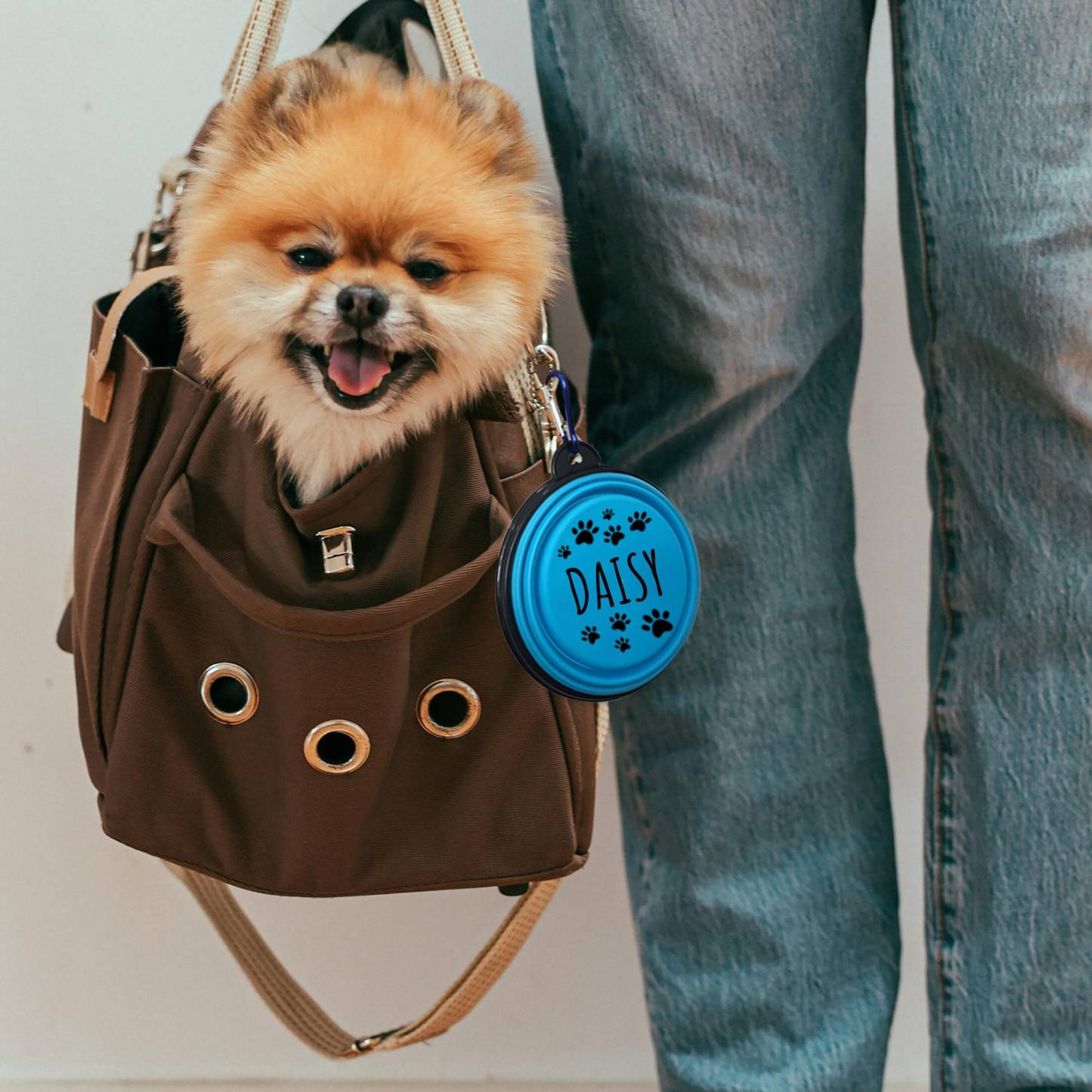 Personalized Silicone Foldable Travel Pet Bowl | BKPet79
