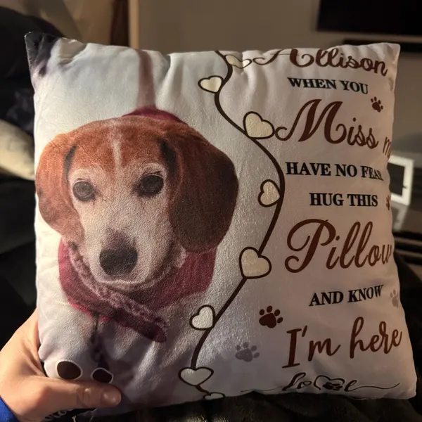 Personalised Pet Loss Gift Memorial Cushion | MNMemo22