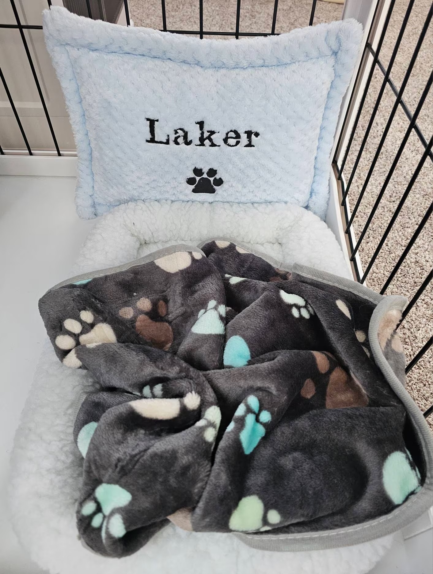 Personalized Warm Pet Pillow for Comfort & Unique | BKPet21