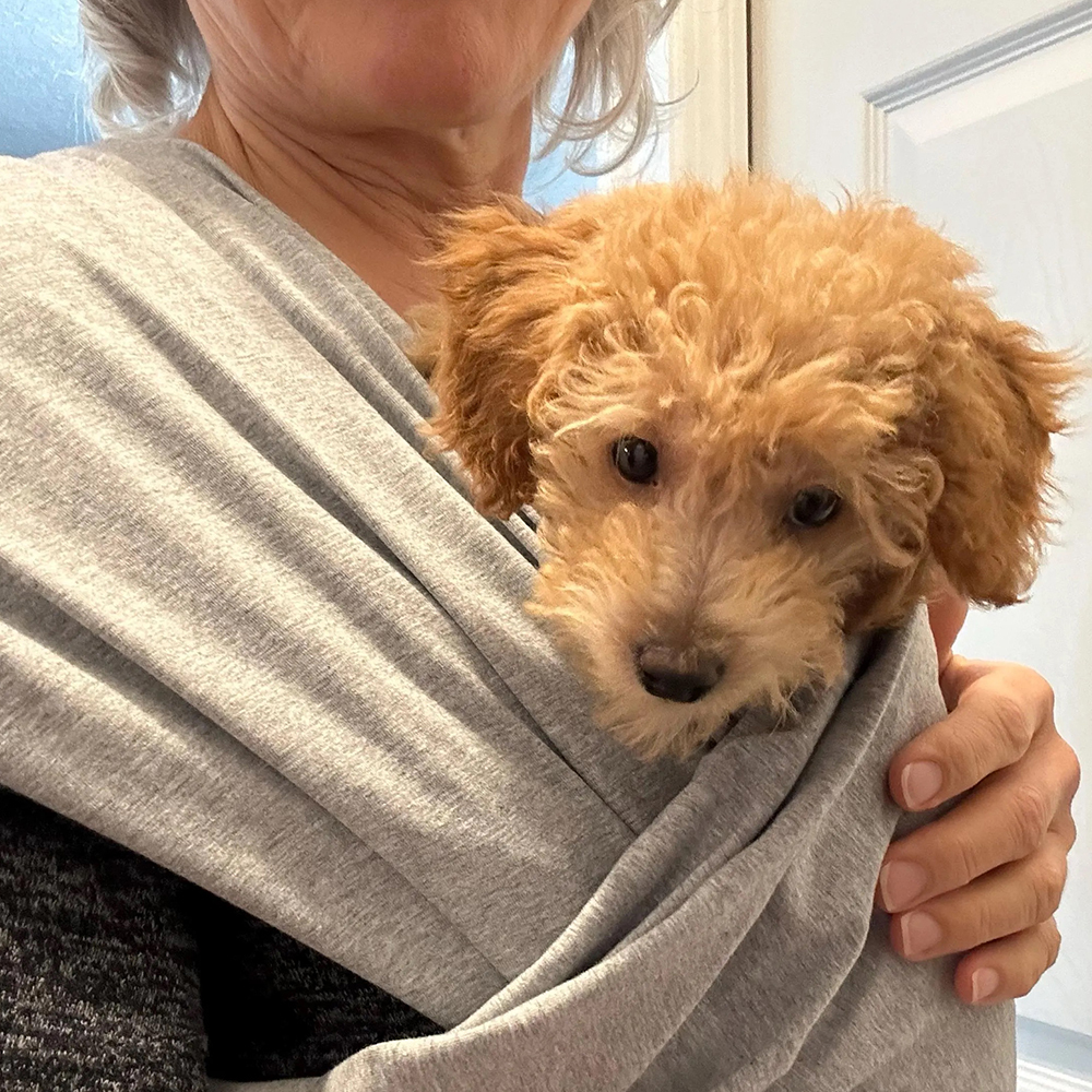 Personalized Pet Hands Free Pet Wrap Sling Carrier | BKPet149