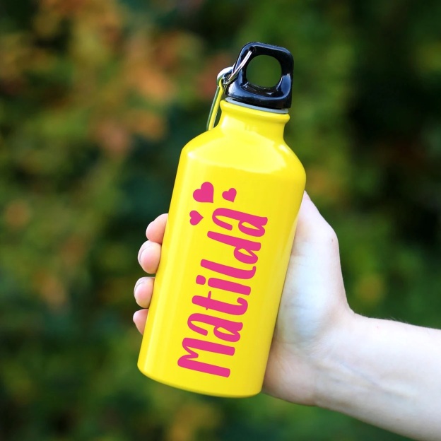 Personalized BPA Free 17oz Stainless Steel Water Bottle | YouBottle88