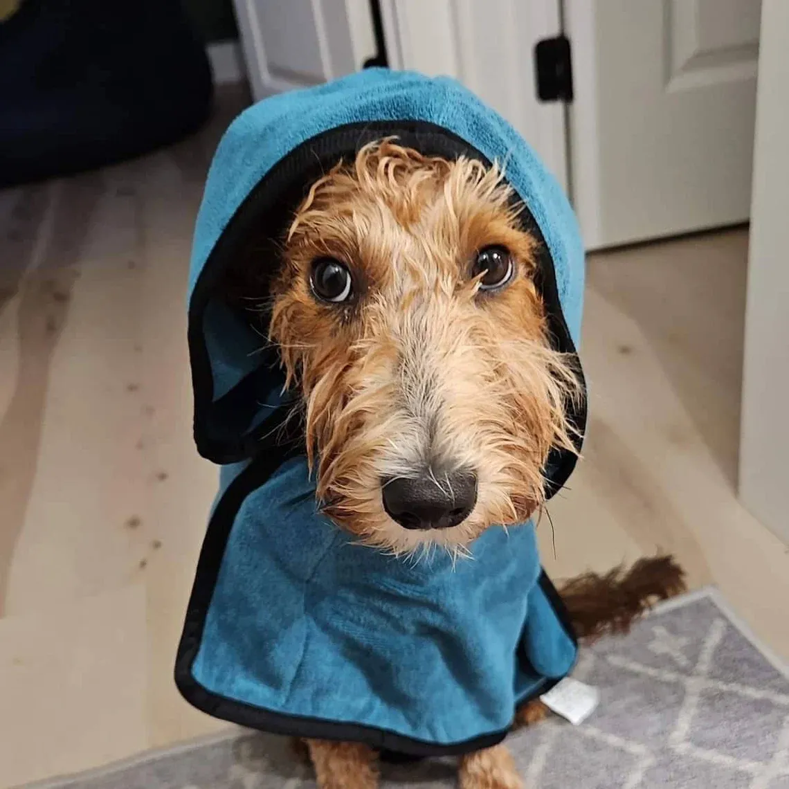 Personalized Pet Embroidery Soft Bathrobe Towel | BKPet92