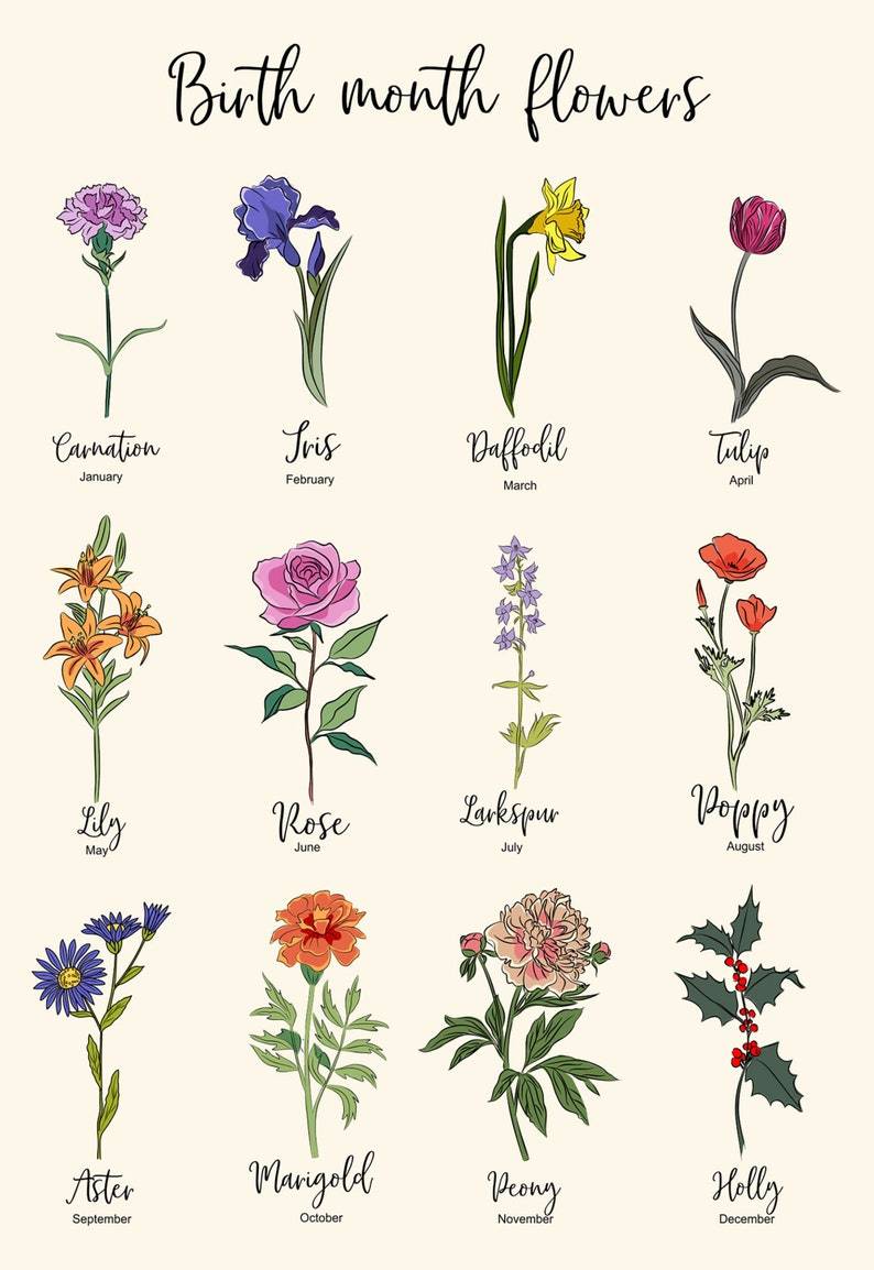 Personalized Family Name Blanket for Comfort & Unique | BKName14