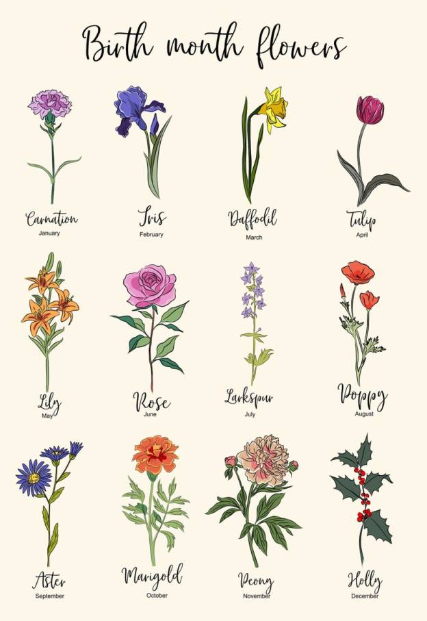 Personalized Family Name Blanket for Comfort & Unique | BKName14