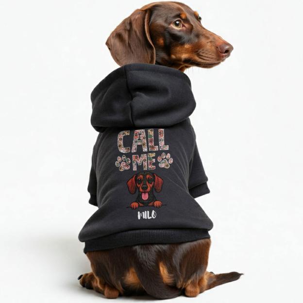 Personalized Funny Pet Portrait Hoodie | BKPet415