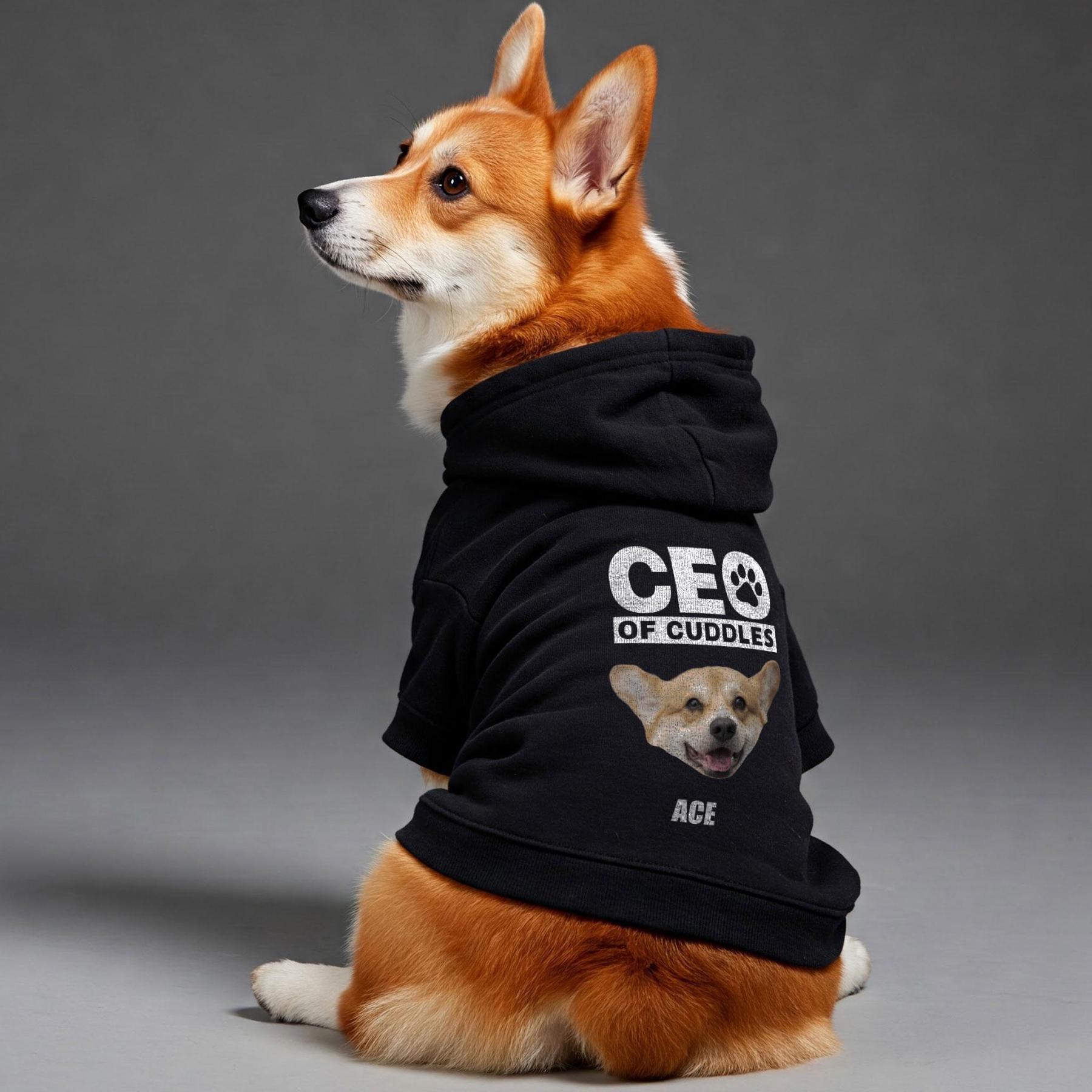 Personalized Funny Pet Portrait Hoodie | BKPet415