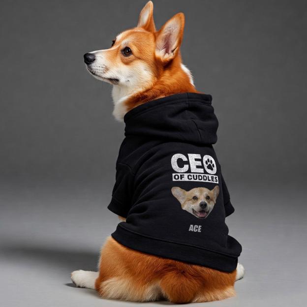 Personalized Funny Pet Portrait Hoodie | BKPet415