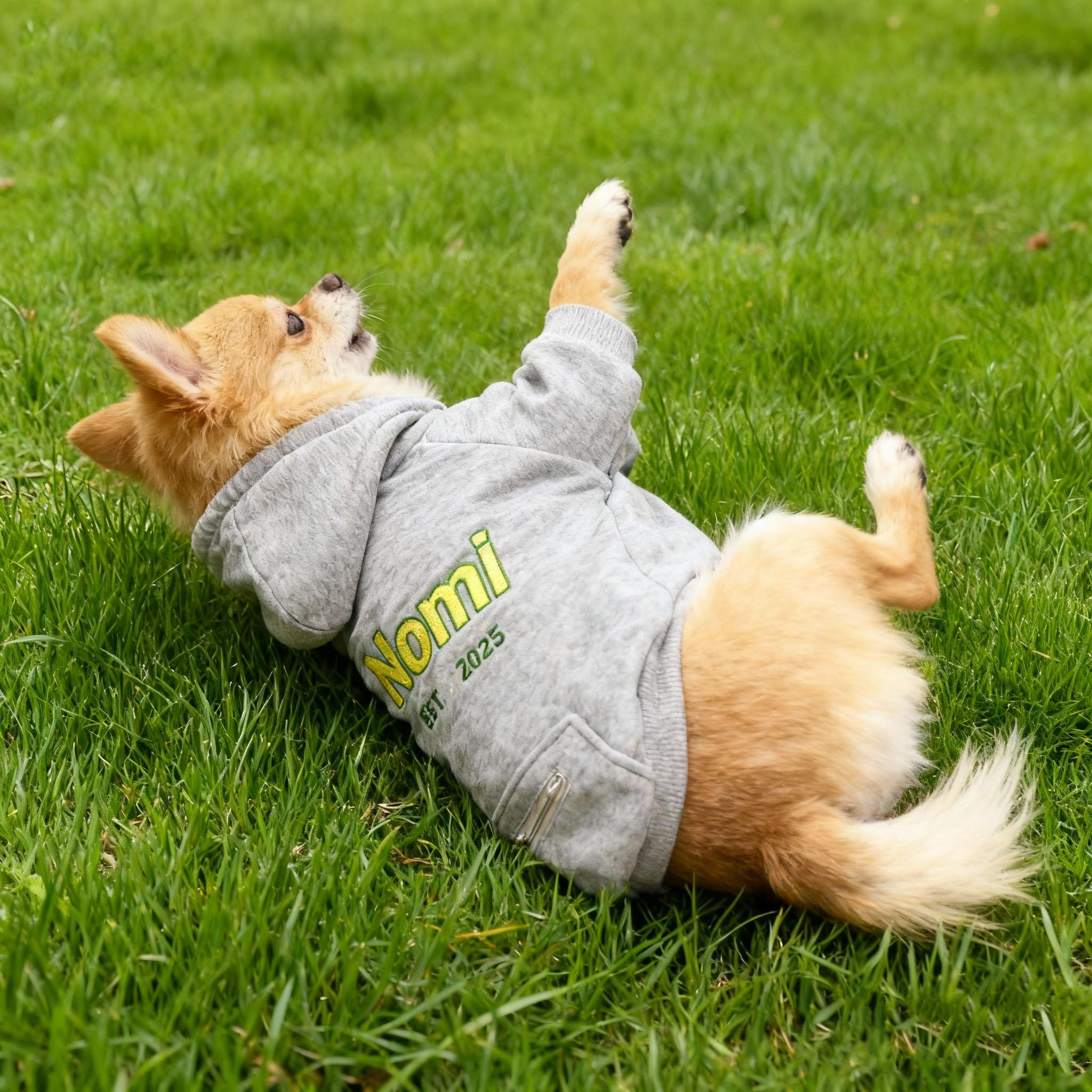 Personalized Embroidered Large Size Puppy Hoodie | BKPet412