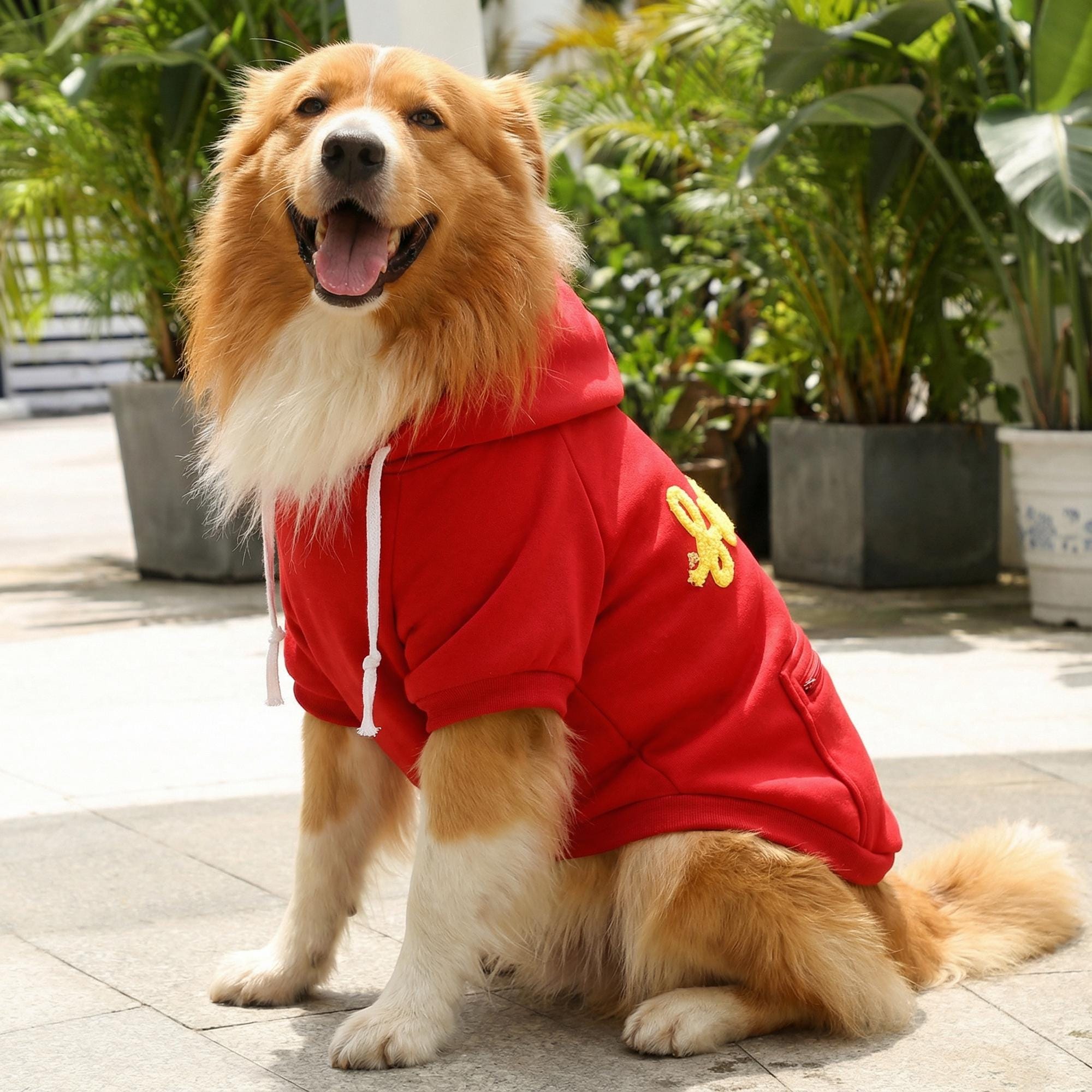 Personalized Warm Large Size Puppy Hoodie for Comfort & Unique | BKPet254