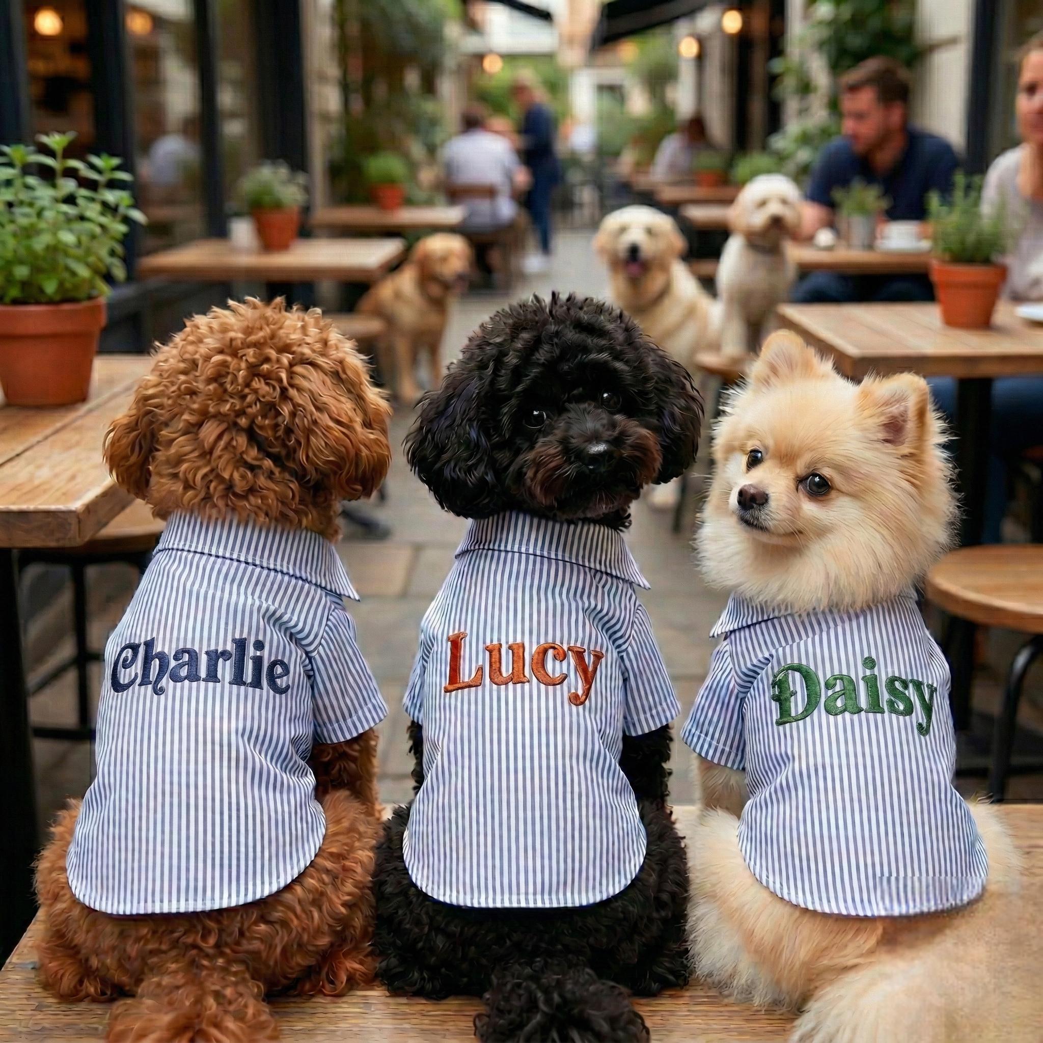 Personalized Embroidery Gentleman Pet Stripe Shirt | BKPet454