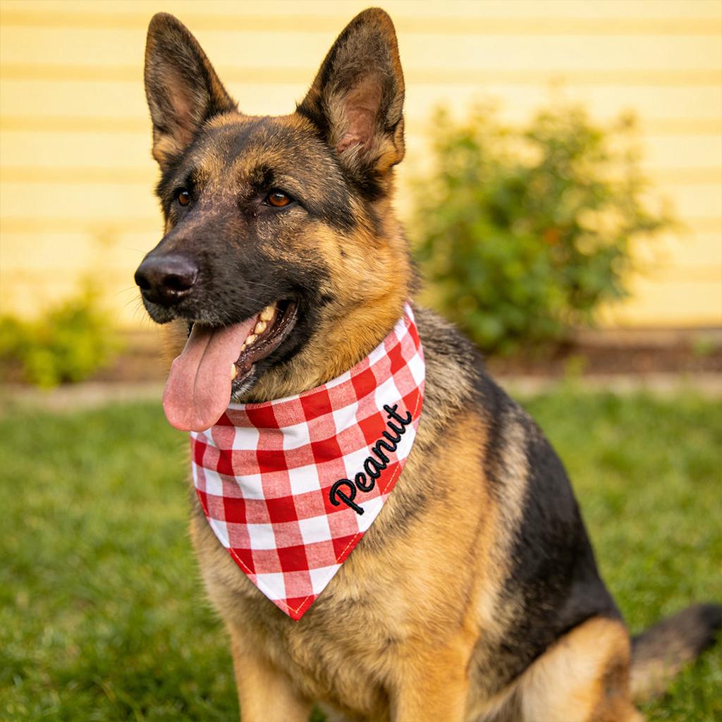 Personalized Embroidered Pet Elasticity Plaid Bandana | BKPet461
