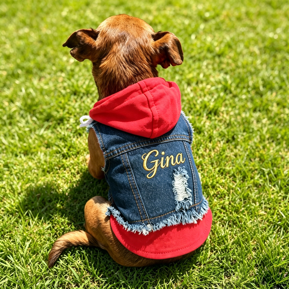 Personalized Embroidered Fake two-piece Hoodie Denim Dog Jacket  | MNCloth222