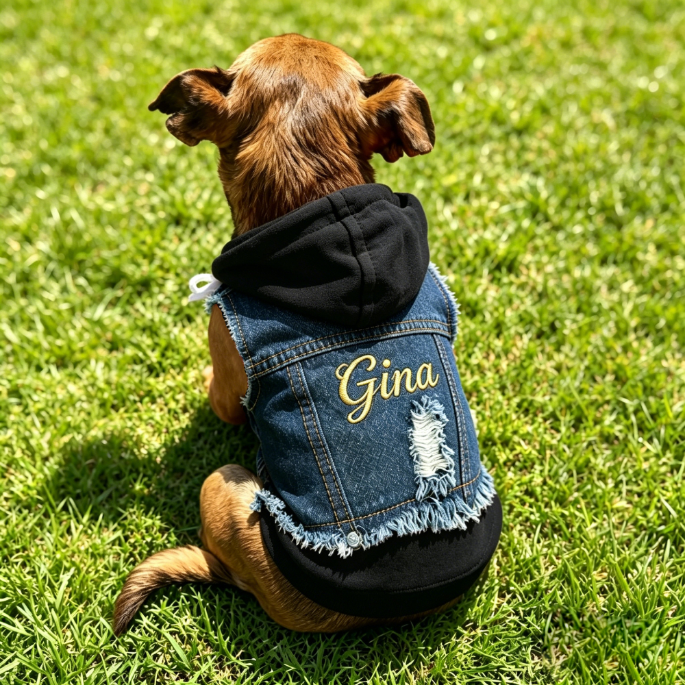 Personalized Embroidered Fake two-piece Hoodie Denim Dog Jacket  | MNCloth222