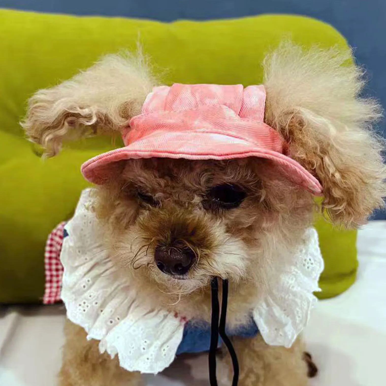 Personalized Embroidery Pet Sun Hat with Ear Holes | BKPet66