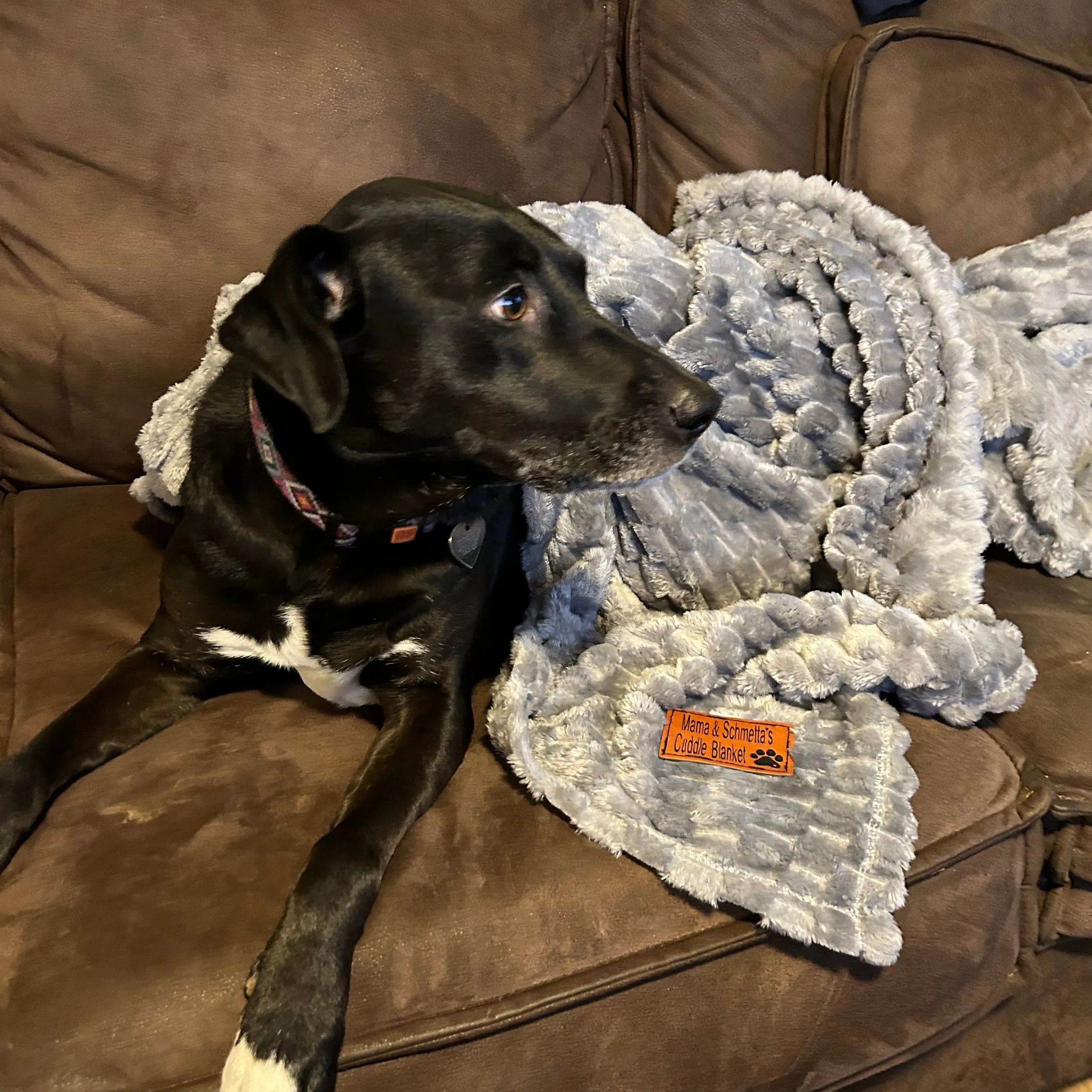 Personalized Plush Fleece Leather Patch Pet Blanket | BKPet75