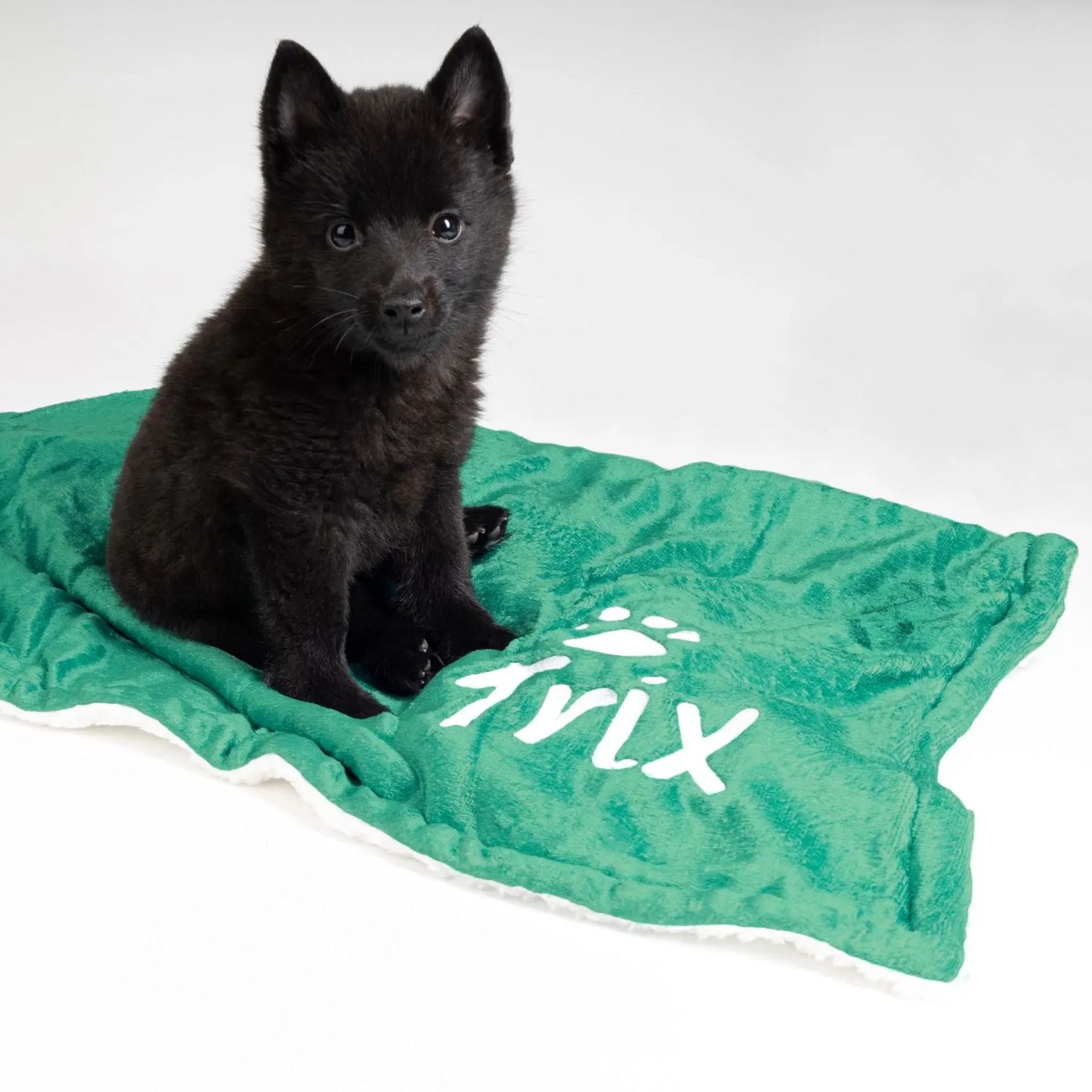 Personalized Thick Fleece Pet Blanket for Comfort & Unique | BKPet99