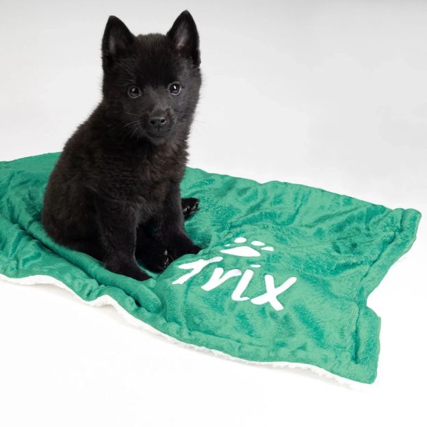 Personalized Thick Fleece Pet Blanket for Comfort & Unique | BKPet99