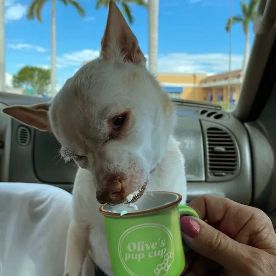 Personalized Pet Reusable Pup Cup Mug  | CWToy16