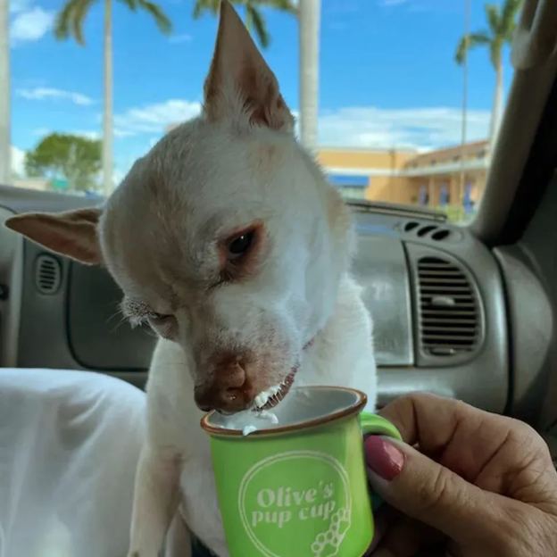 Personalized Pet Reusable Pup Cup Mug  | CWToy16