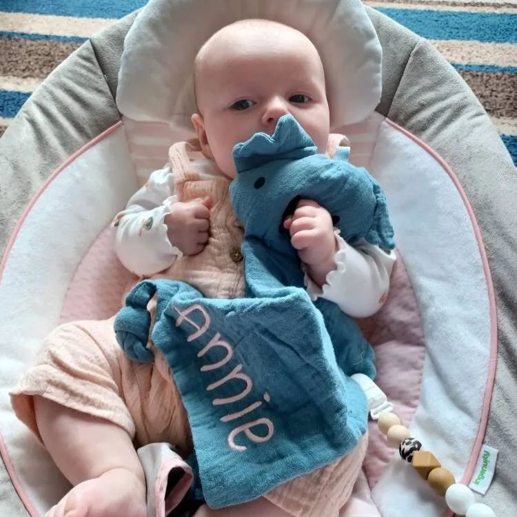 Personalized Baby Embroidery Comforter Sleep Toy | CWToy117