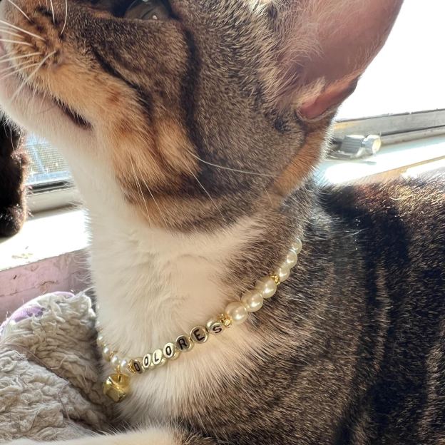 Personalized Handmade Pearl Pet Collar with Name | BKPet193