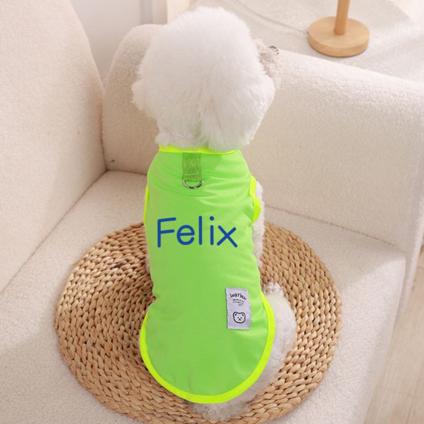 Personalized Colourful Pet Summer Cool Mesh Vest | BKPet173