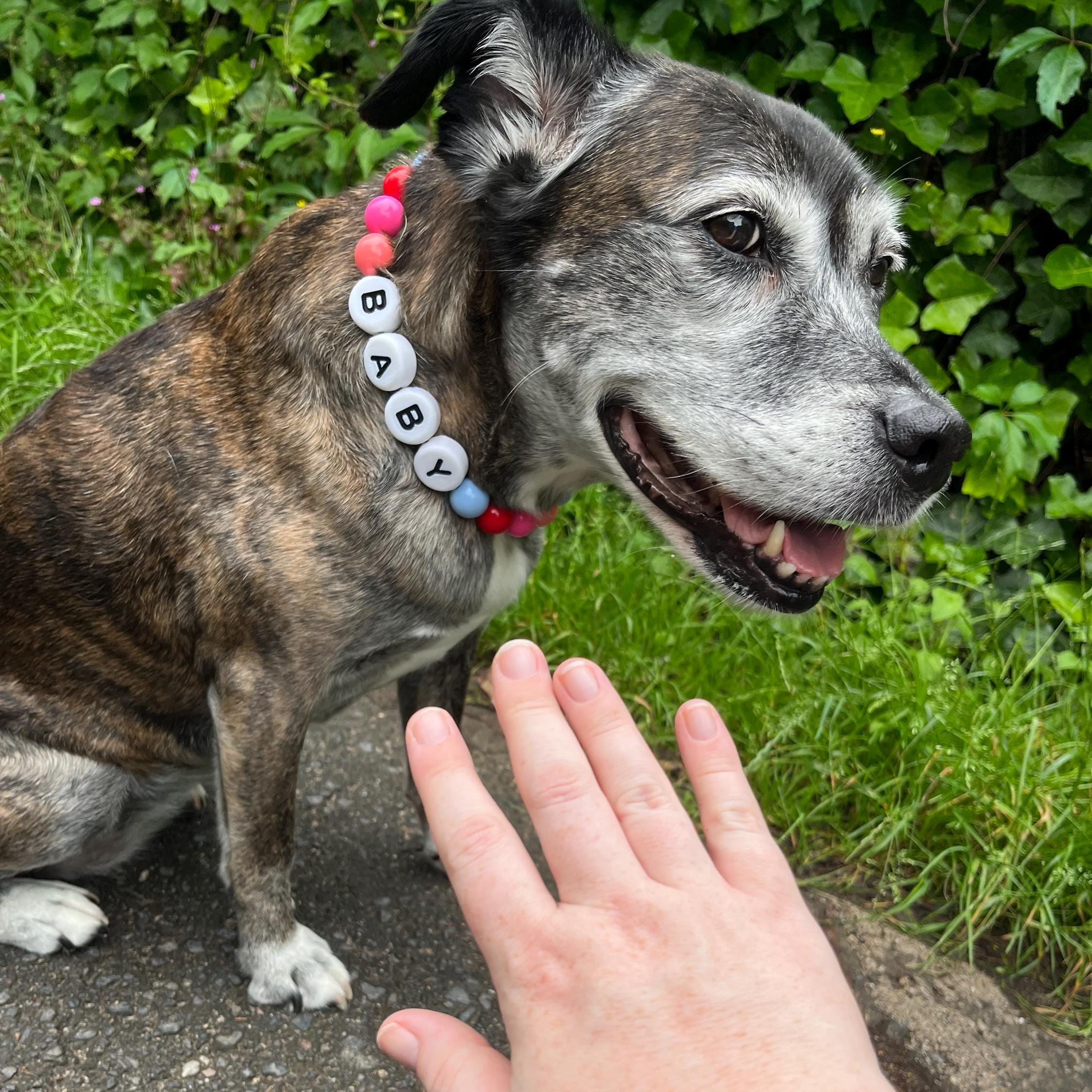 Personalized Handmade Beaded Pet Collar And Bracelet | BKPet213