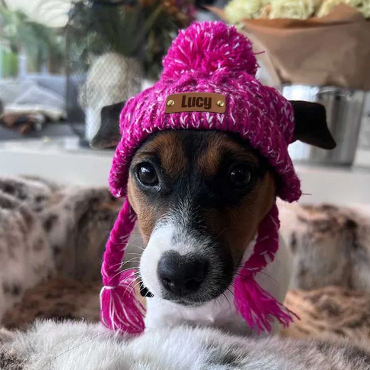 Personalized Pets Leather Patch Knitted Hat | BKPet215