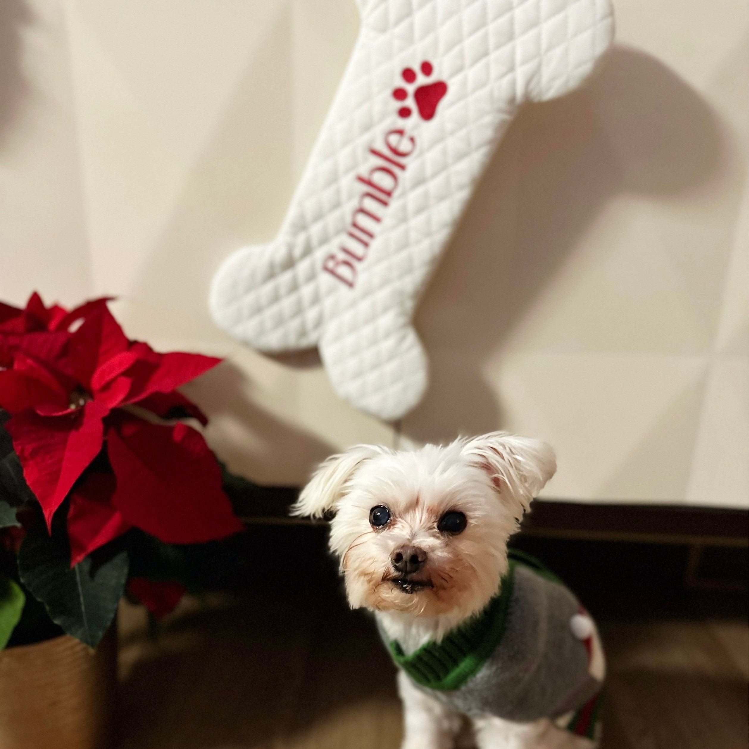 Personalized Dog Bone Christmas Stocking in Quilted White | MCGift174