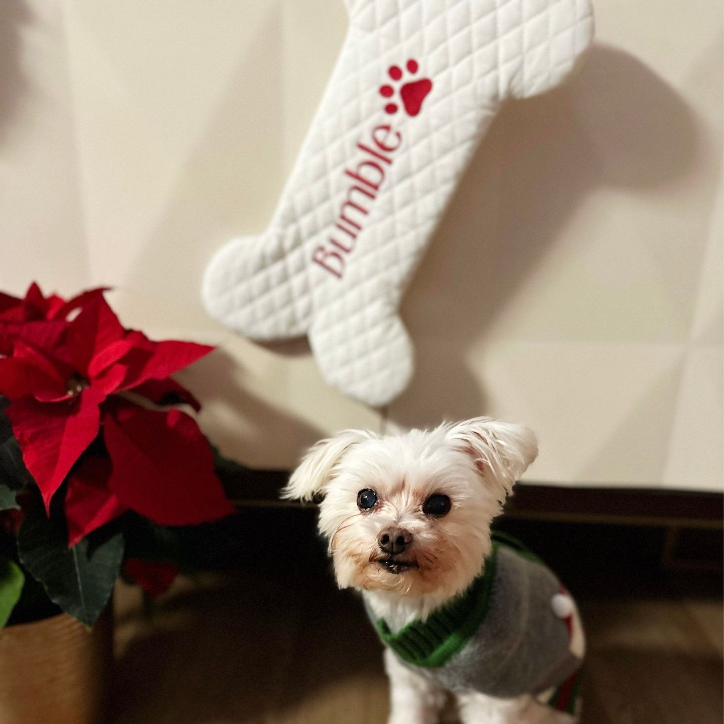 Personalized Dog Bone Christmas Stocking in Quilted White | MCGift174