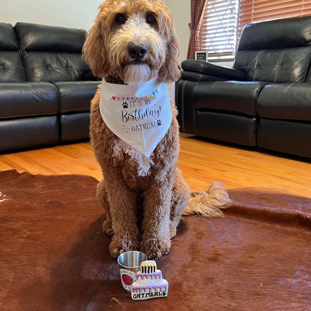 Personalized Pet Stainless Steel Reusable Pup Cup Mug | BKPet263