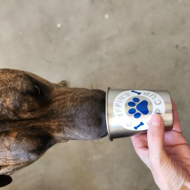 Personalized Pet Stainless Steel Reusable Pup Cup Mug | BKPet263