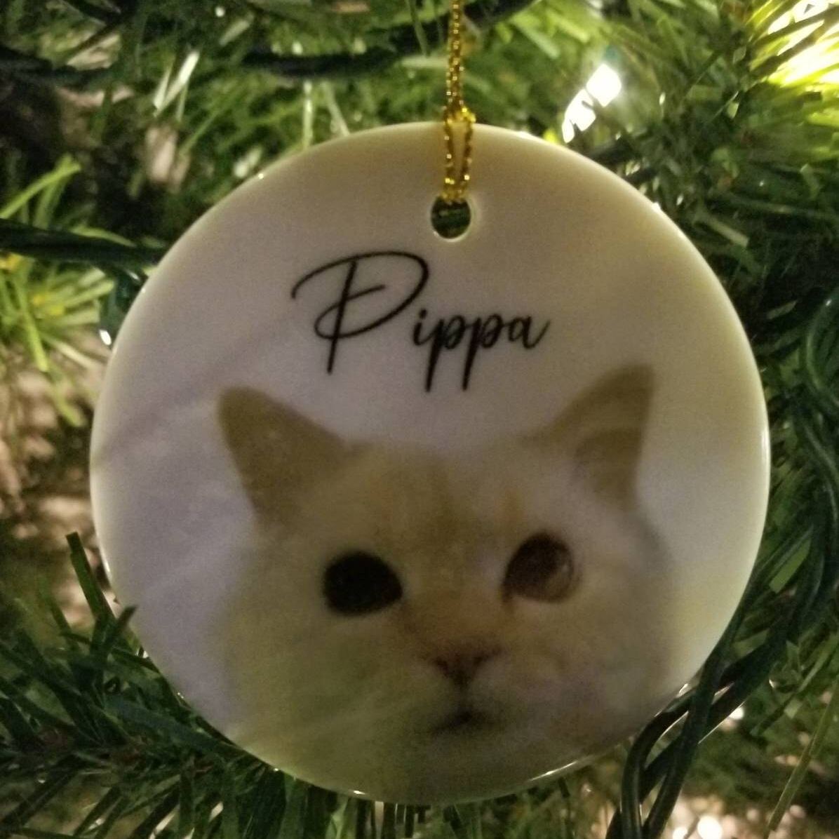 Personalized Pet Photo Christmas Ornament | BKPet264