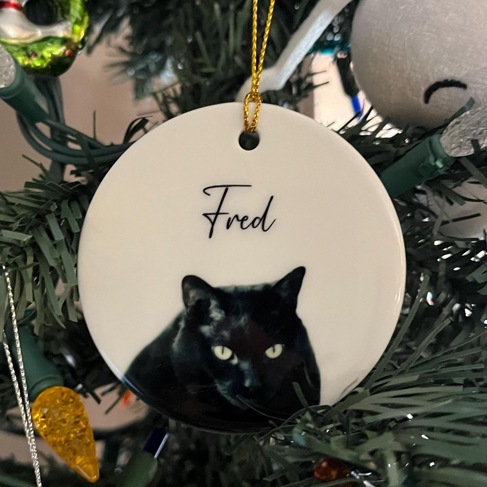 Personalized Pet Photo Christmas Ornament | BKPet264