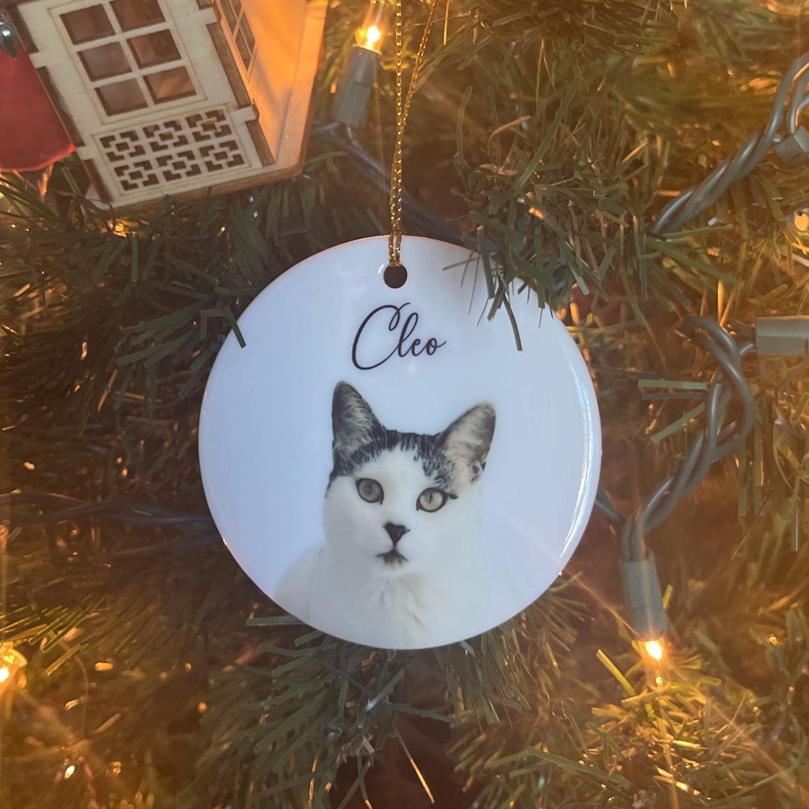 Personalized Pet Photo Christmas Ornament | BKPet264