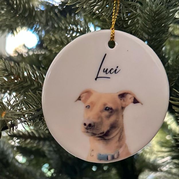 Personalized Pet Photo Christmas Ornament | BKPet264