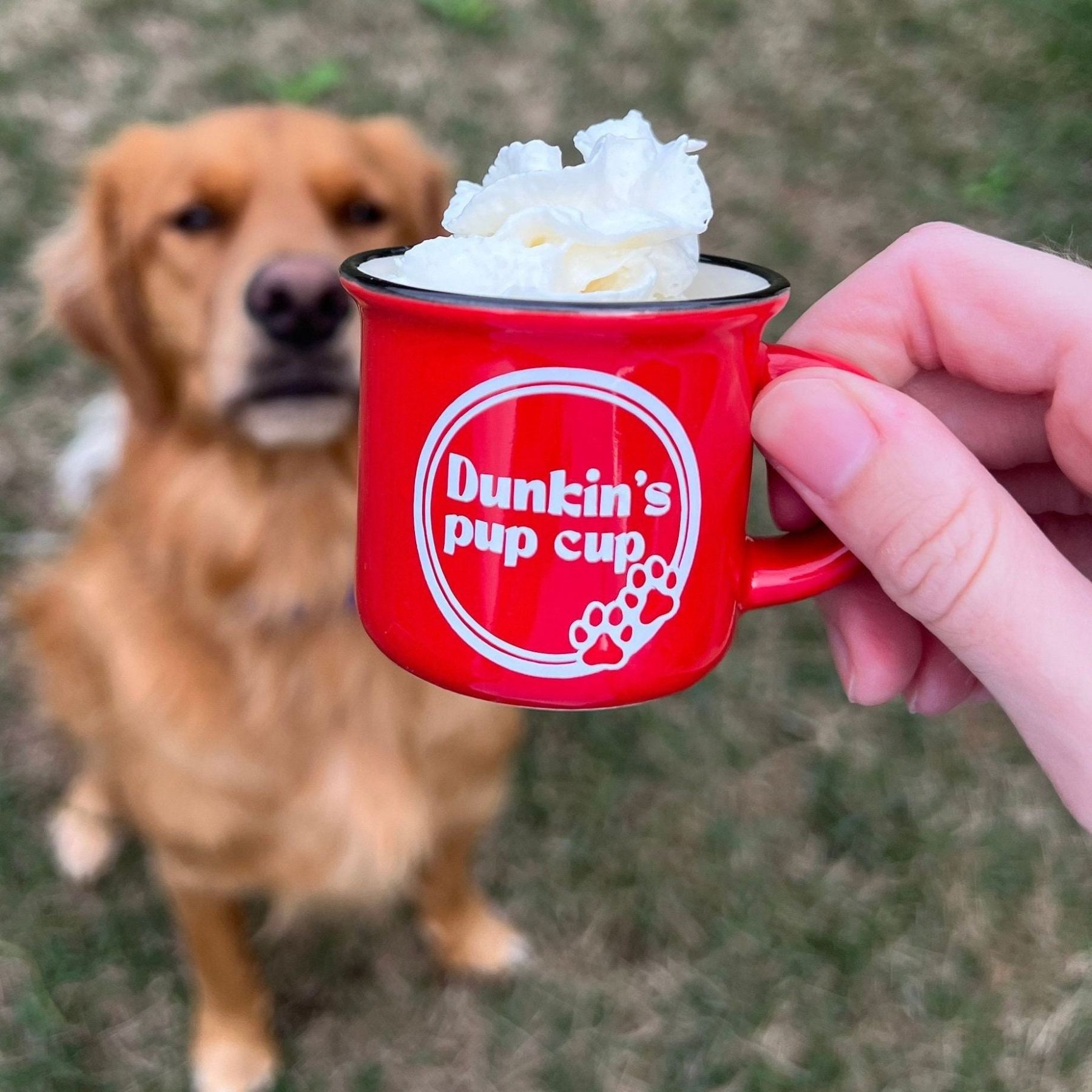 Personalized Pet 2oz Reusable Pup Cup Mug  | CWToy16