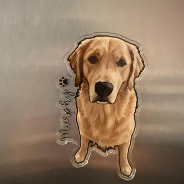 Personalized Illustrated Pet Portrait Fridge Photo Magnet | CWGift14