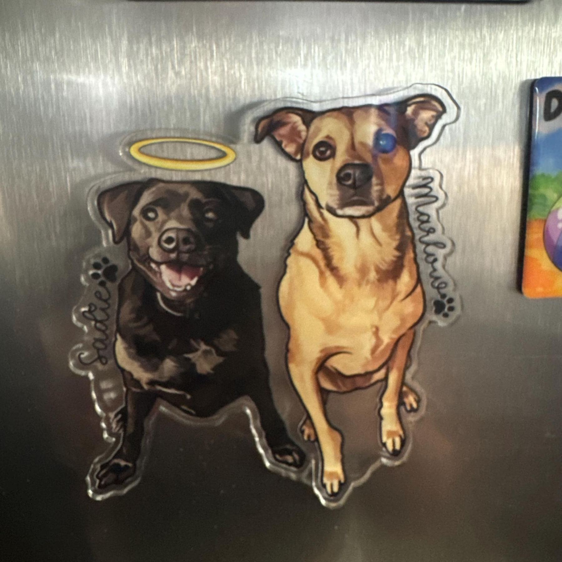 Personalized Illustrated Pet Portrait Fridge Photo Magnet | CWGift14