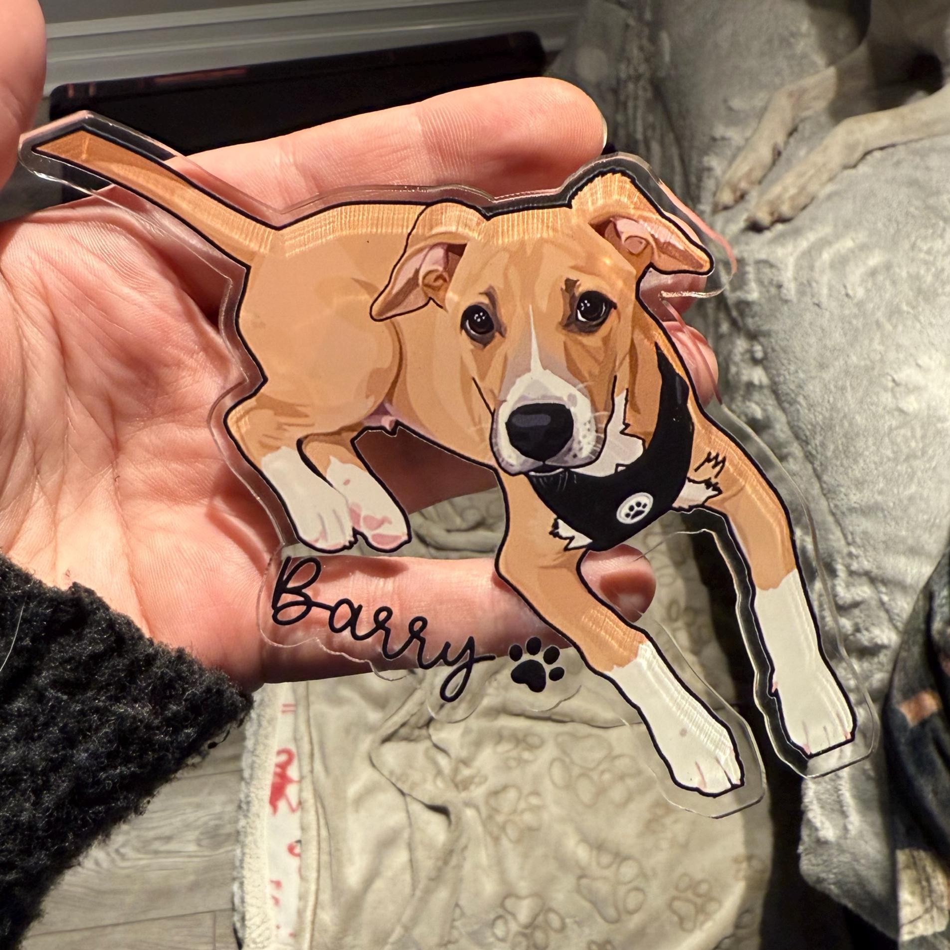 Personalized Illustrated Pet Portrait Fridge Photo Magnet | CWGift14