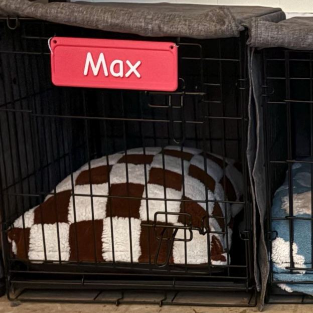 Personalized 3D Printed Pet Name Plate for Crate | BKPet350