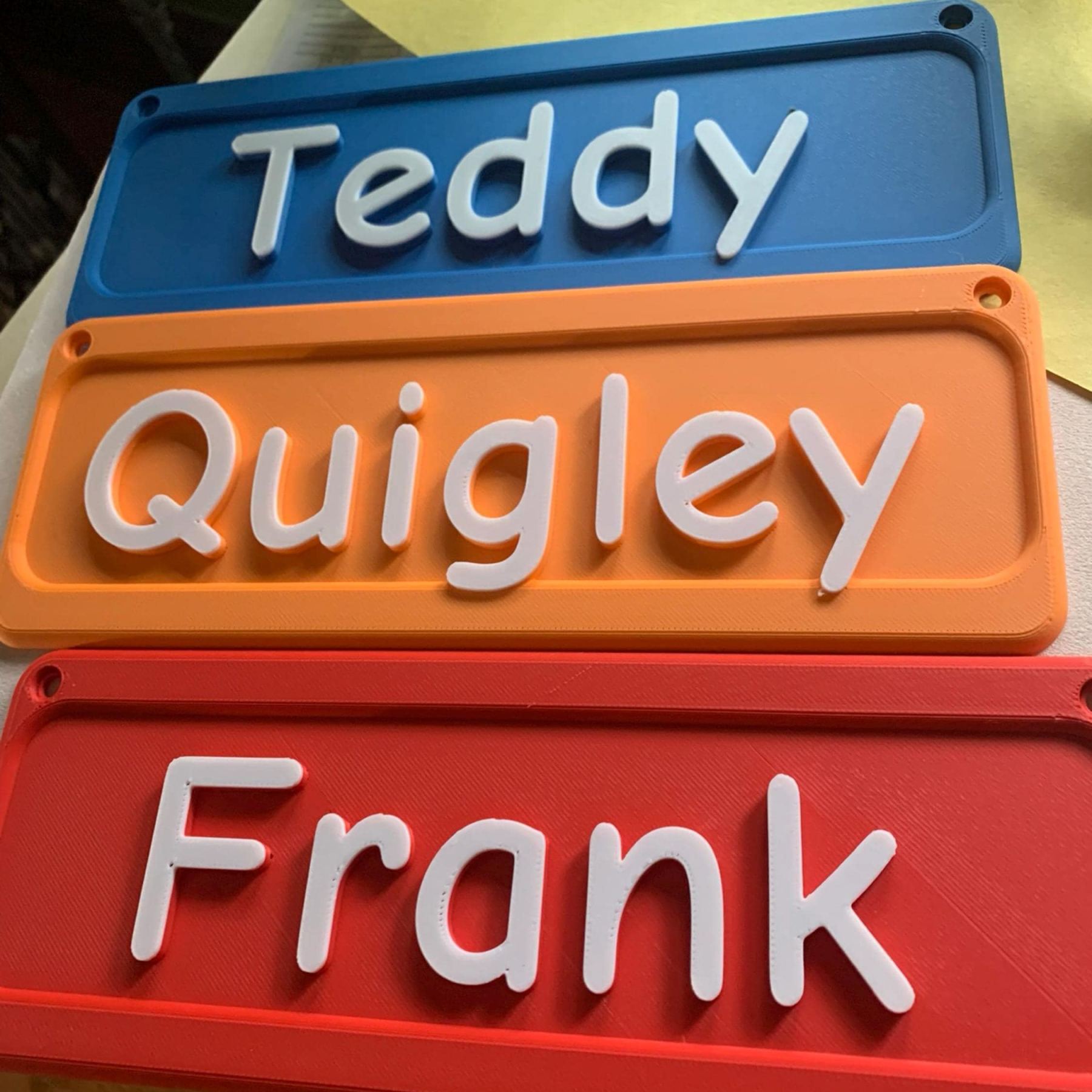 Personalized 3D Printed Pet Name Plate for Crate | BKPet350