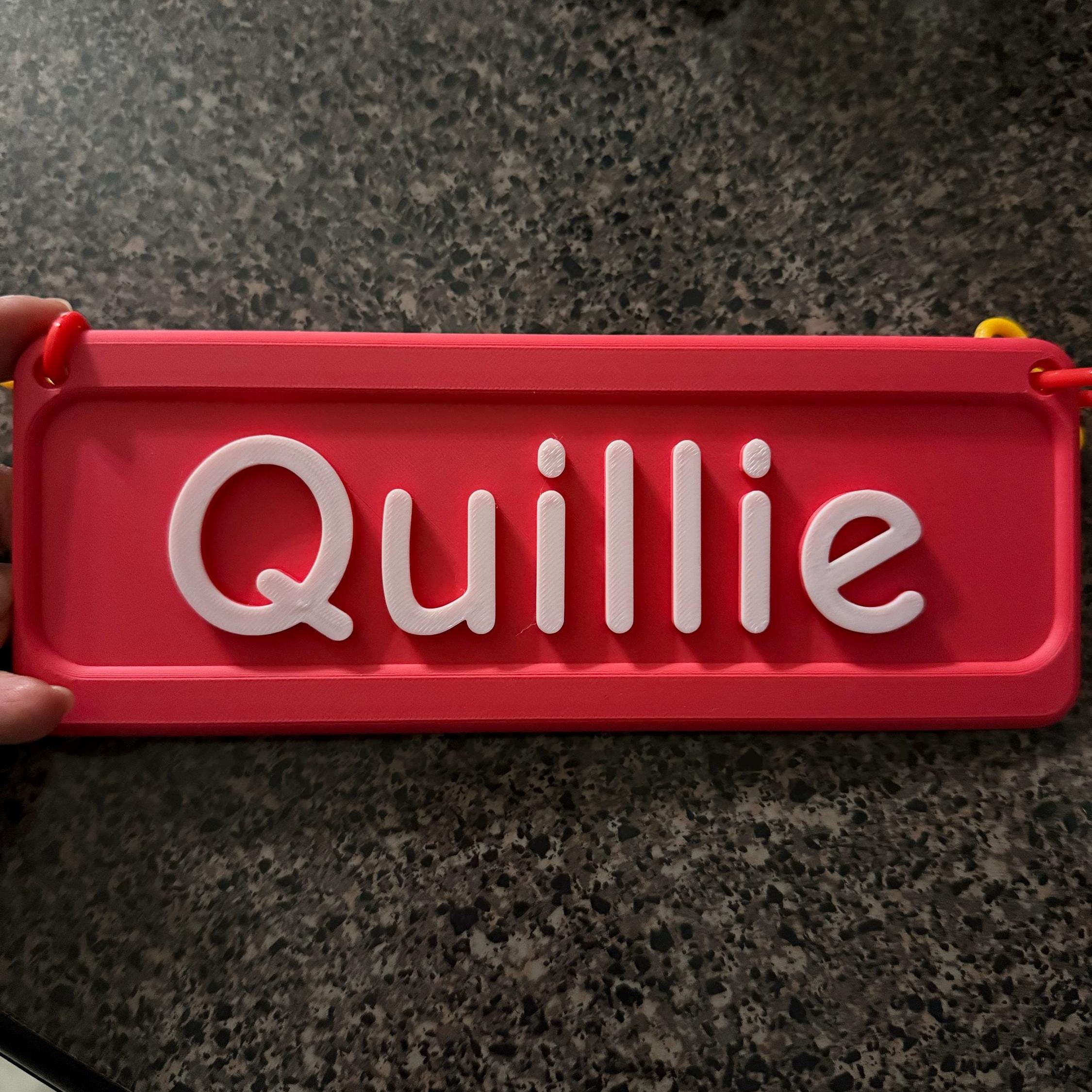 Personalized 3D Printed Pet Name Plate for Crate | BKPet350