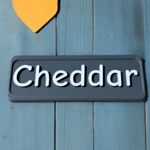 Personalized 3D Printed Pet Name Plate for Crate | BKPet350