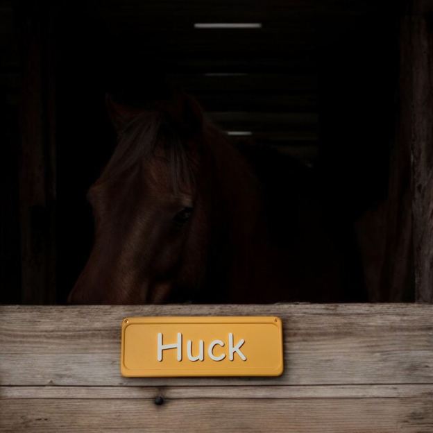 Personalized 3D Printed Pet Name Plate for Crate | BKPet350
